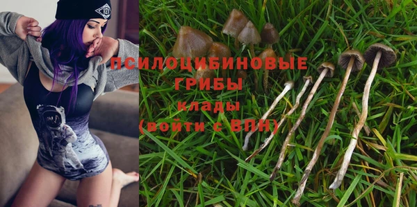 шишки Михайловка