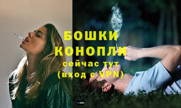 шишки Михайловка