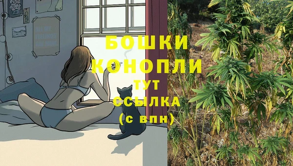 гидропоника Михайловск