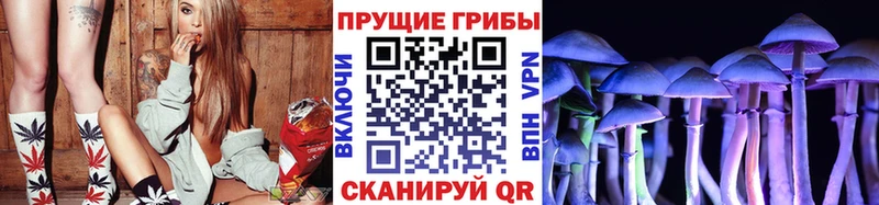 Псилоцибиновые грибы Psilocybe  наркотики  гидра зеркало  Нефтегорск 